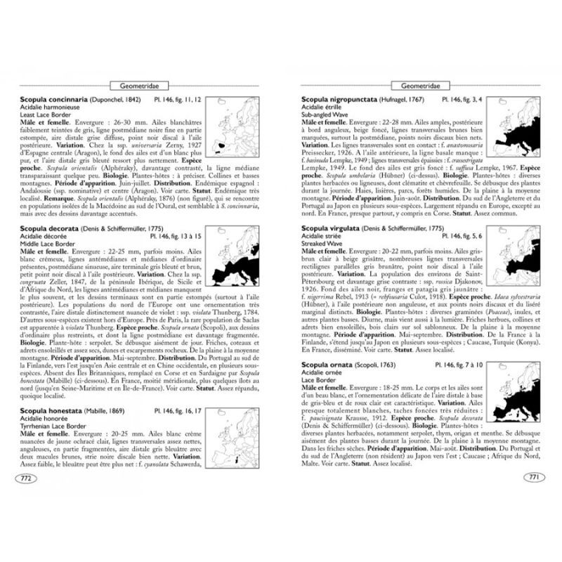 Papillons de nuit d'Europe - Volume 2 - Géomètres