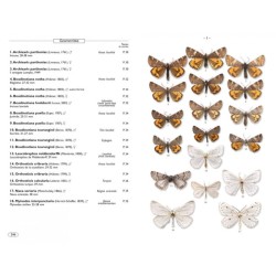 Papillons de nuit d'Europe - Volume 2 - Géomètres Papillons de nuit d'Europe - Volume 2 - Géomètres