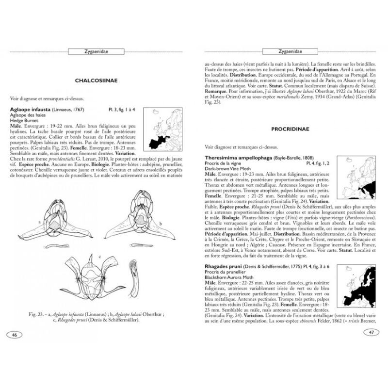 Papillons de nuit d'Europe - Volume 3 - Zygènes, Pyrales 1