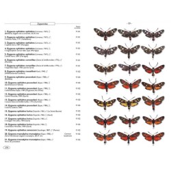 Papillons de nuit d'Europe - Volume 3 - Zygènes, Pyrales 1 Papillons de nuit d'Europe - Volume 3 - Zygènes, Pyrales 1