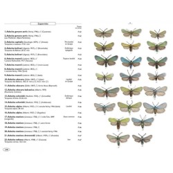 Papillons de nuit d'Europe - Volume 3 - Zygènes, Pyrales 1 Papillons de nuit d'Europe - Volume 3 - Zygènes, Pyrales 1