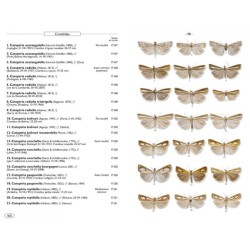 Papillons de nuit d'Europe - Volume 3 - Zygènes, Pyrales 1 Papillons de nuit d'Europe - Volume 3 - Zygènes, Pyrales 1