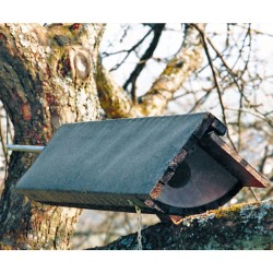 Nichoir pour Chevêche d'Athéna - Schwegler (N° 22 - 243/3)