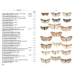 Papillons de nuit d'Europe - volume 4 - Pyrales 2 Papillons de nuit d'Europe - volume 4 - Pyrales 2