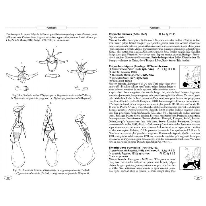 Papillons de nuit d'Europe - Volume 4 - Pyrales 2