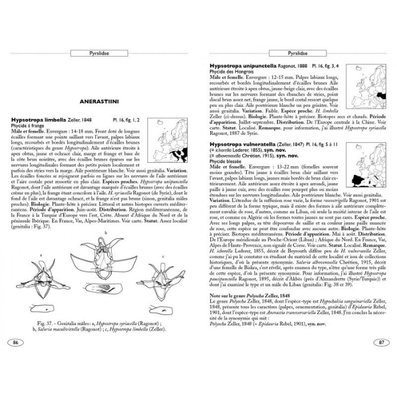 Papillons de nuit d'Europe - Volume 4 - Pyrales 2