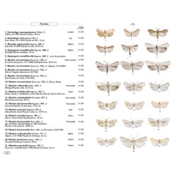 Papillons de nuit d'Europe - volume 4 - Pyrales 2 Papillons de nuit d'Europe - volume 4 - Pyrales 2