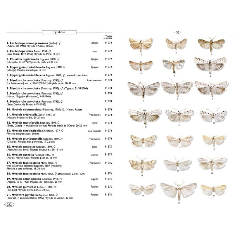 Papillons de nuit d'Europe - Volume 4 - Pyrales 2
