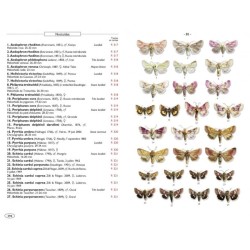 Papillons de nuit d'Europe - Volume 5 - Noctuelles 1 Papillons de nuit d'Europe - Volume 5 - Noctuelles 1