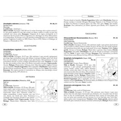 Papillons de nuit d'Europe - Volume 5 - Noctuelles 1 Papillons de nuit d'Europe - Volume 5 - Noctuelles 1