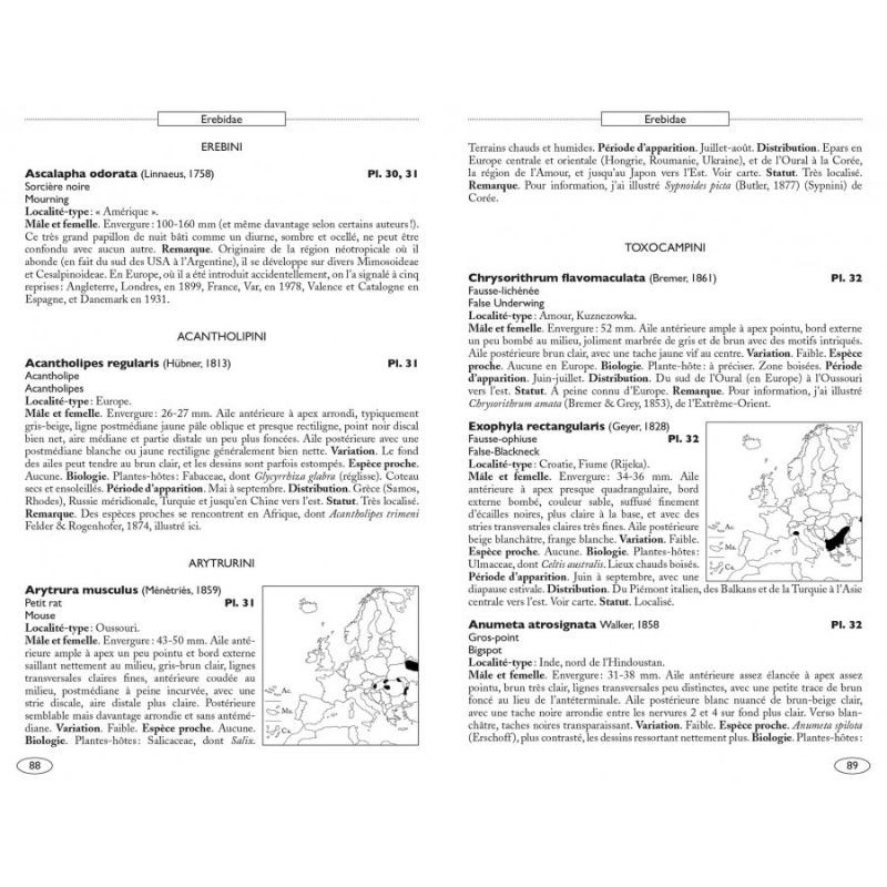 Papillons de nuit d'Europe - Volume 5 - Noctuelles 1
