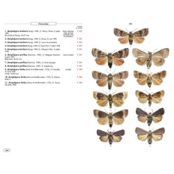Papillons de nuit d'Europe - Volume 5 - Noctuelles 1 Papillons de nuit d'Europe - Volume 5 - Noctuelles 1