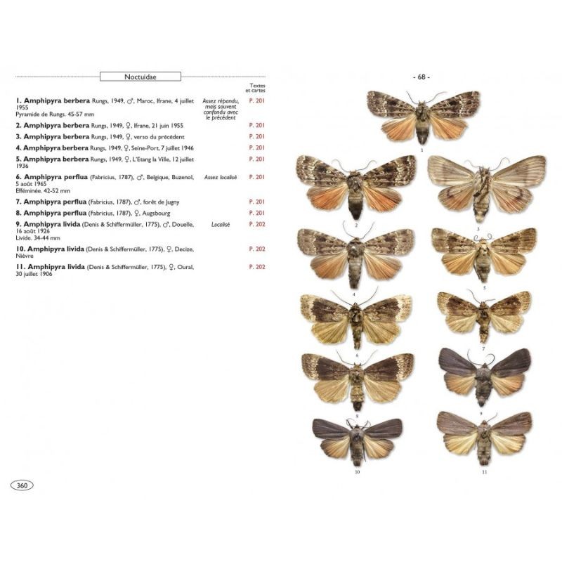 Papillons de nuit d'Europe - Volume 5 - Noctuelles 1