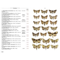Papillons de nuit d'Europe - Volume 5 - Noctuelles 1 Papillons de nuit d'Europe - Volume 5 - Noctuelles 1