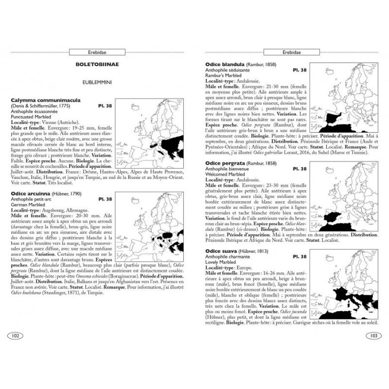 Papillons de nuit d'Europe - Volume 5 - Noctuelles 1