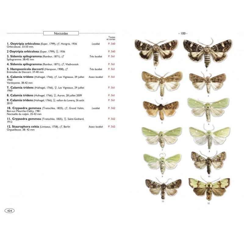 Papillons de nuit d'Europe - Volume 5 - Noctuelles 1