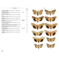 Papillons de nuit d'Europe - Volume 6 - Noctuelles 2