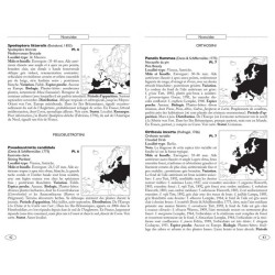 Papillons de nuit d'Europe - Volume 6 - Noctuelles 2