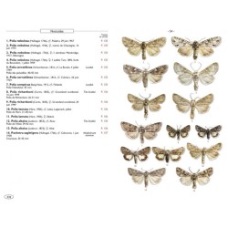 Papillons de nuit d'Europe - Volume 6 - Noctuelles 2