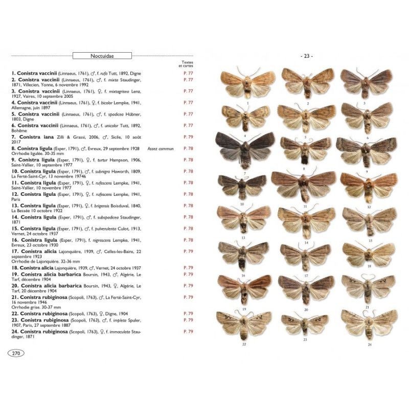 Papillons de nuit d'Europe - Volume 6 - Noctuelles 2