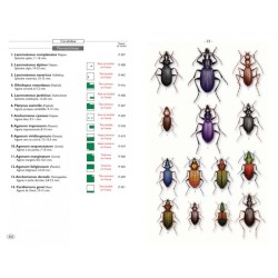 Coléoptères d'Europe, Carabes, Carabiques et Dytiques - Volume 1 - Adephaga
