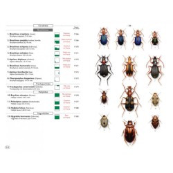 Coléoptères d'Europe, Carabes, Carabiques et Dytiques - Volume 1 - Adephaga