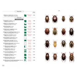Coléoptères d'Europe, Carabes, Carabiques et Dytiques - Volume 1 - Adephaga