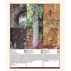 Insectes ravageurs et maladies des arbres et arbustes d’Europe