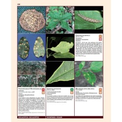 Insectes ravageurs et maladies des arbres et arbustes d’Europe