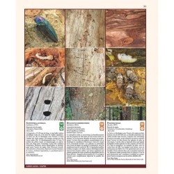 Insectes ravageurs et maladies des arbres et arbustes d’Europe