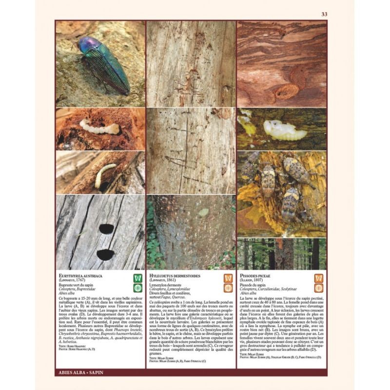 Insectes ravageurs et maladies des arbres et arbustes d’Europe