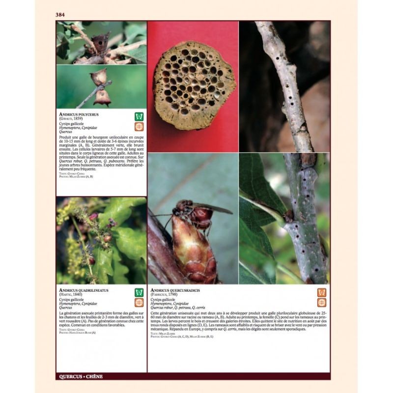 Insectes ravageurs et maladies des arbres et arbustes d’Europe