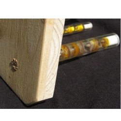 Gîte à insectes solitaires - Observatoire - Schwegler (373/7)