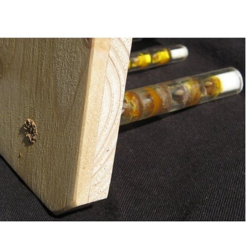 Gîte à insectes solitaires - Observatoire - Schwegler (373/7)