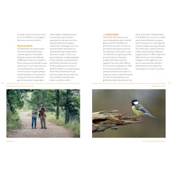 Devenir ornitho - Conseils, trucs et astuces d'un expert des oiseaux