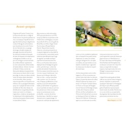 Devenir ornitho - Conseils, trucs et astuces d'un expert des oiseaux