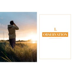 Devenir ornitho - Conseils, trucs et astuces d'un expert des oiseaux