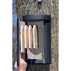 Gîte à chauves-souris grand habitacle pour petites espèces - Schwegler (2FS - 233/4)