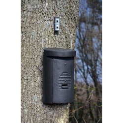 Gîte à chauves-souris grand habitacle pour petites espèces - Schwegler (2FS - 233/4)