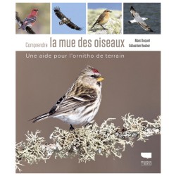 Comprendre la mue des oiseaux - Une aide pour l'ornitho de terrain