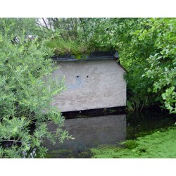 Tunnel pour martin pêcheur et hirondelle de rivage - Schwegler (640/0)