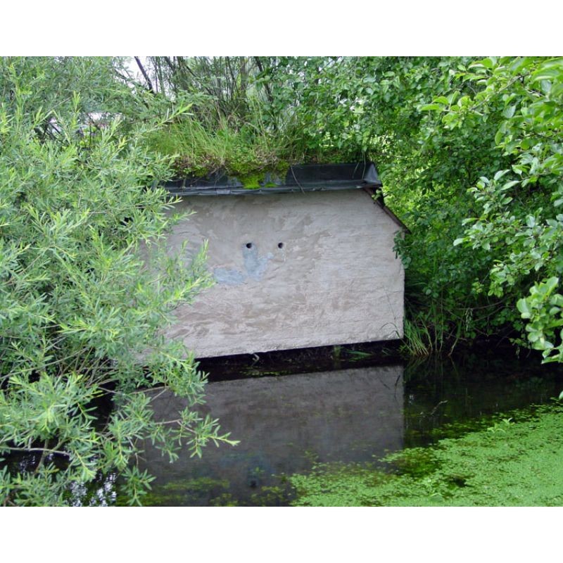 Tunnel pour martin-pêcheur et hirondelle de rivage - Schwegler (640/0)