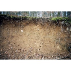 Tunnel pour martin pêcheur et hirondelle de rivage - Schwegler (640/0)