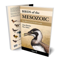 Birds of the Mesozoic - An Illustrated Field Guide