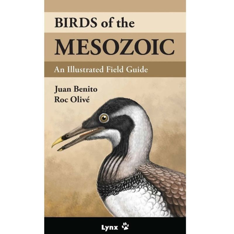 Birds of the Mesozoic - An Illustrated Field Guide