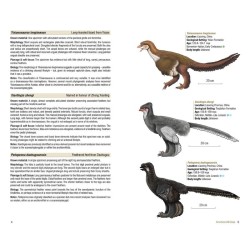 Birds of the Mesozoic - An Illustrated Field Guide