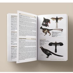 Birds of the Mesozoic - An Illustrated Field Guide