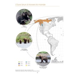 L’Ours Brun - Biologie et Histoire, des Pyrénées à l’Oural - 2ème édition
