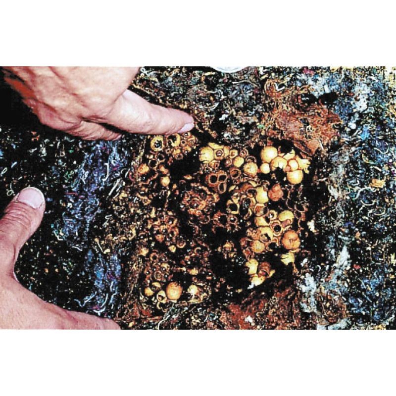 Ruche à bourdons - Schwegler (350/8)