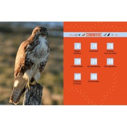 Ma petite encyclo des oiseaux Ma petite encyclo des oiseaux